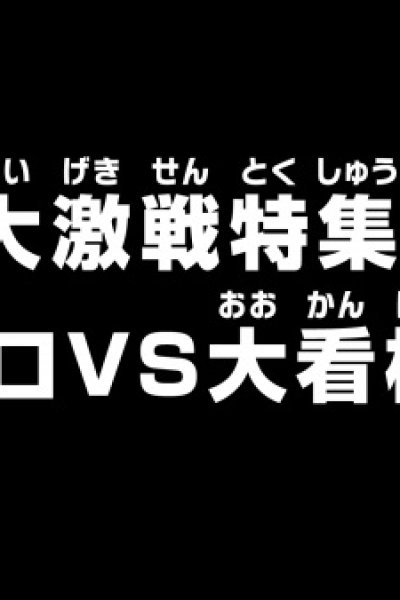 One Piece: Dai Gekisen Tokushuu! Zoro vs. Ookanban!