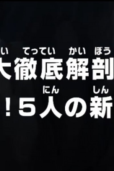 One Piece: Dai Tettei Kaibou! Gekitou! 5-nin no Shin Sedai