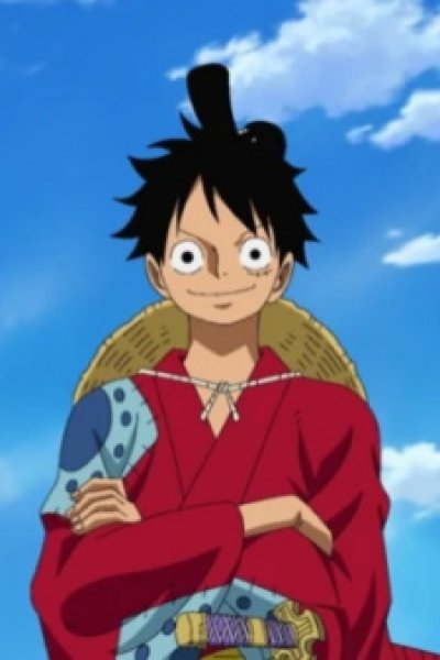 One Piece: Mugiwara no Ichimi kara no Kansen Yobou Message
