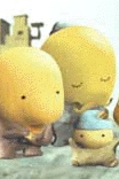 Pacusi