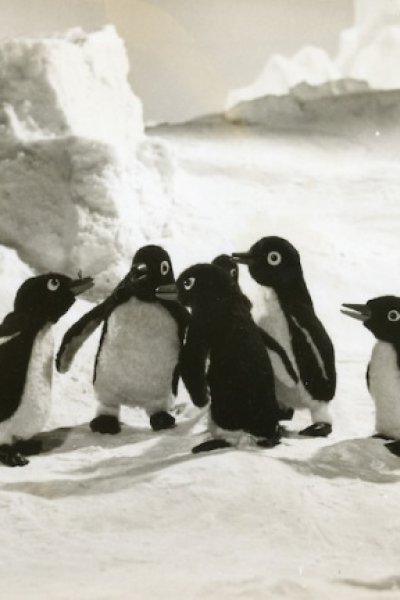 Penguin Boy Lulu to Kiki