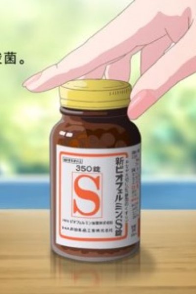 Shin Biofermin S