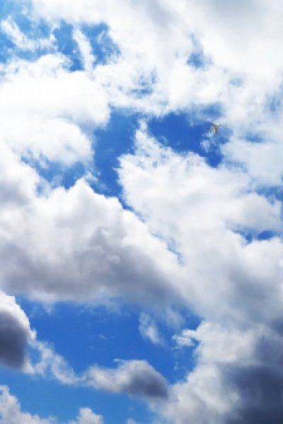 Suki na Ko ga Megane wo Wasureta Short Episode Specials