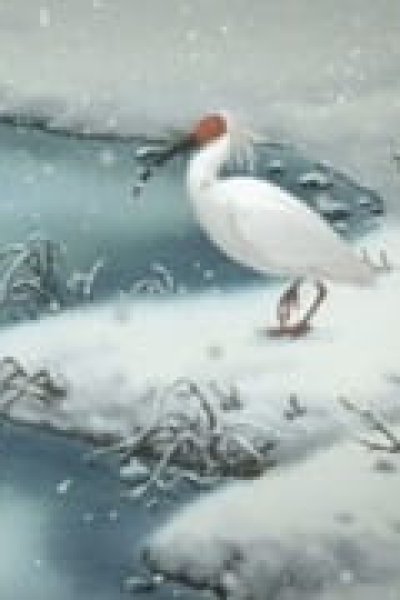 Toki: Kono Hoshi no Mirai wo Mitsumete