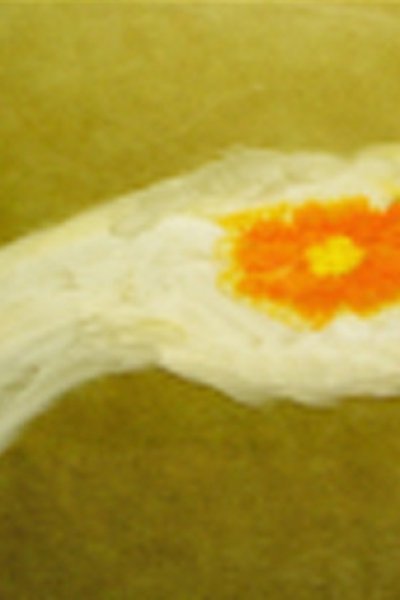 Tooryanse