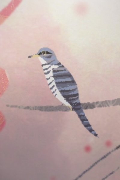 Watashi ga Nakou Hototogisu