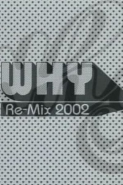 Why Re-Mix 2002