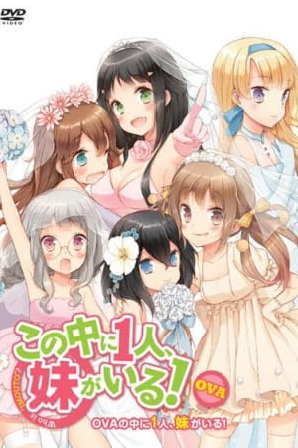 Kono Naka ni Hitori, Imouto ga Iru!: Ani, Imouto, Koibito