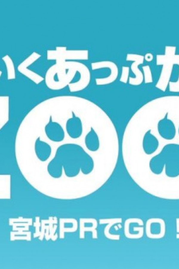 Wake Up, Girl Zoo! Miyagi PR de Go!