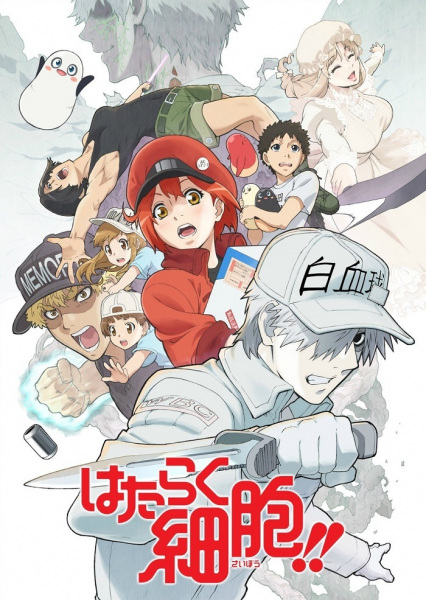 Nonton Hataraku Saibou Sub Indo