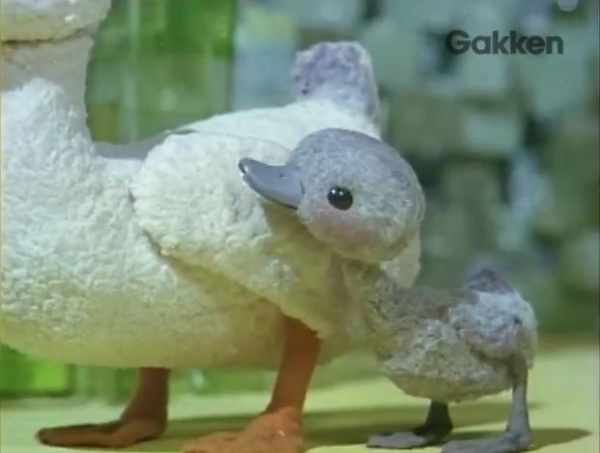 Nonton Minikui Ahiru no Ko Sub Indo