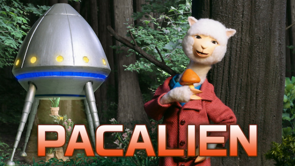 Nonton Pacalien (Special) Sub Indo